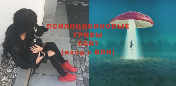 2c-b Навашино