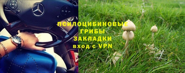 каннабис Аркадак