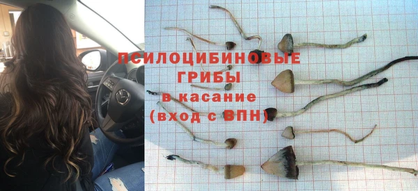 2c-b Навашино