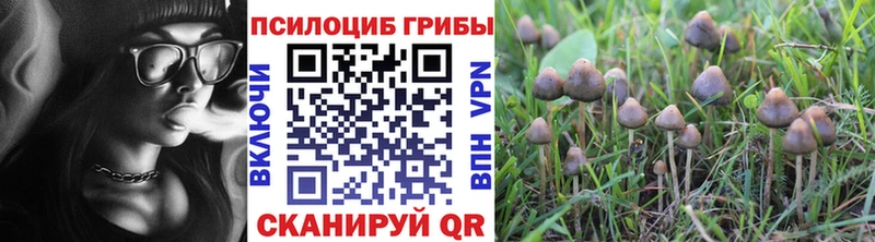 Псилоцибиновые грибы MAGIC MUSHROOMS  MEGA ONION  Тихорецк 